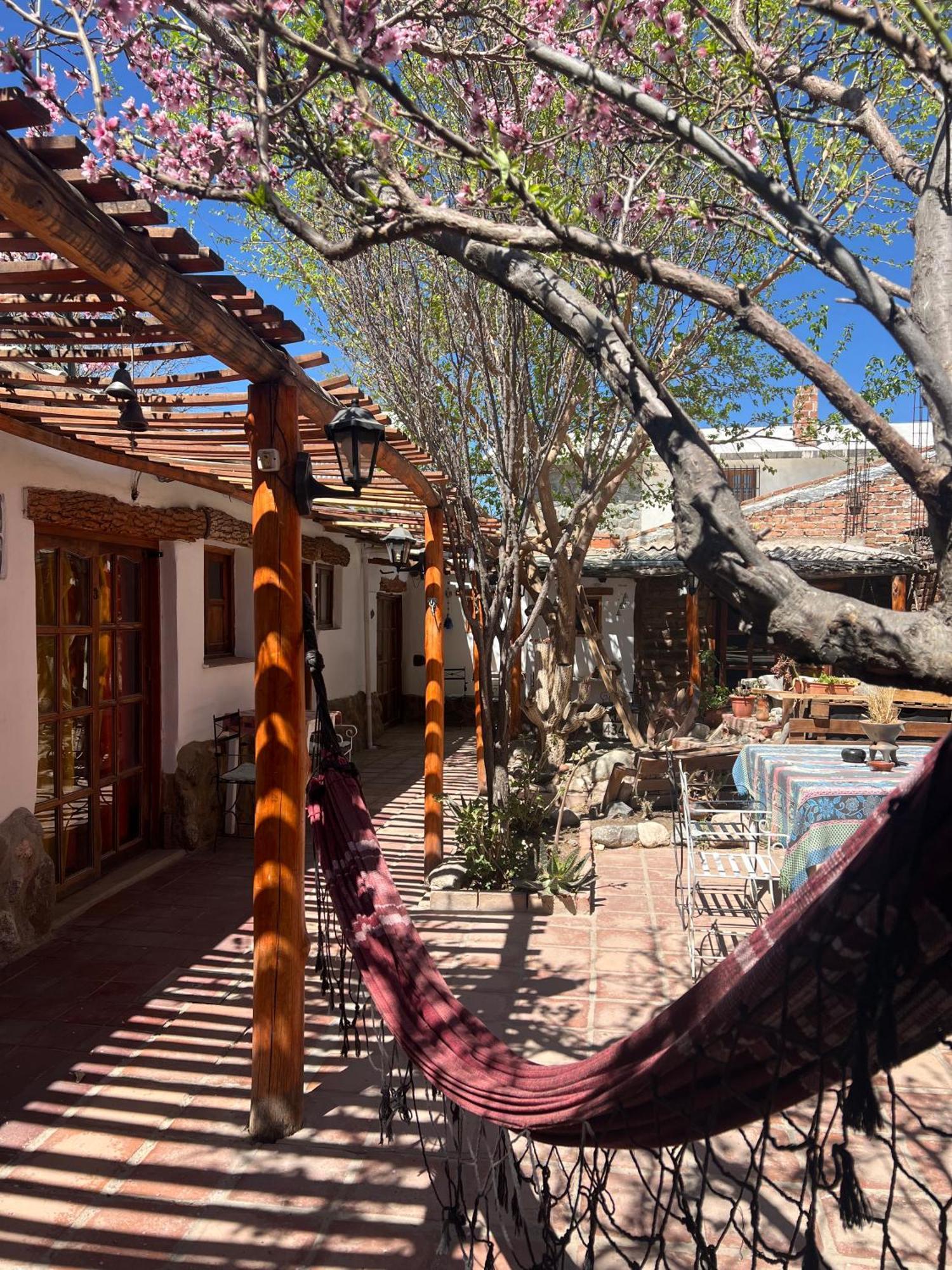 Hostal Tierra Andina 카파야테 외부 사진