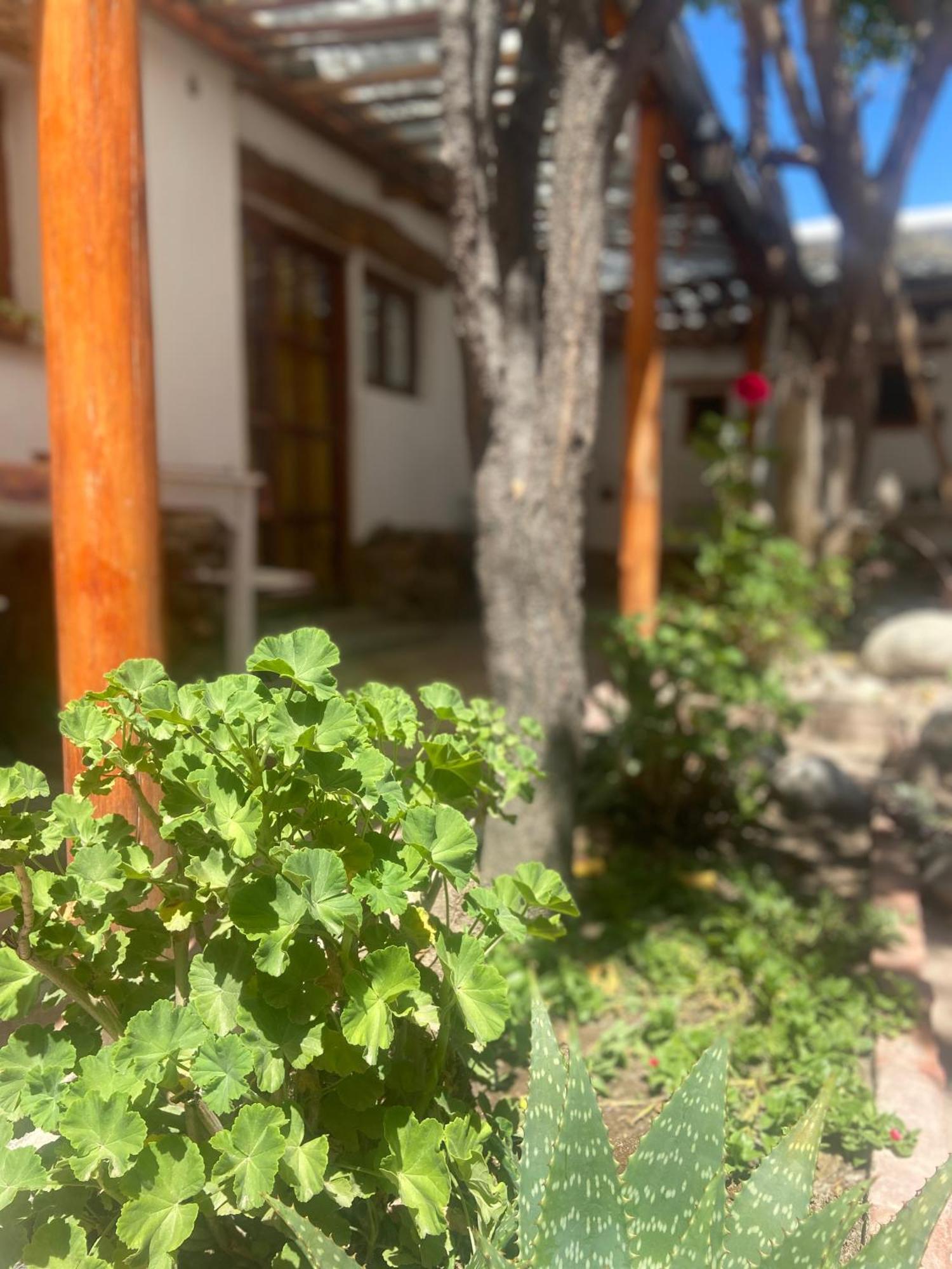 Hostal Tierra Andina 카파야테 외부 사진